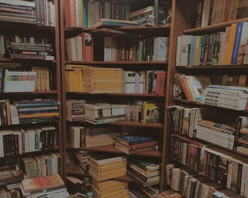 Row of wooden shelves filled with colorful books focusing on Latin American literature